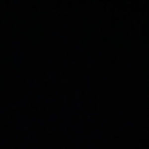 Meet your Posher, Evan’s